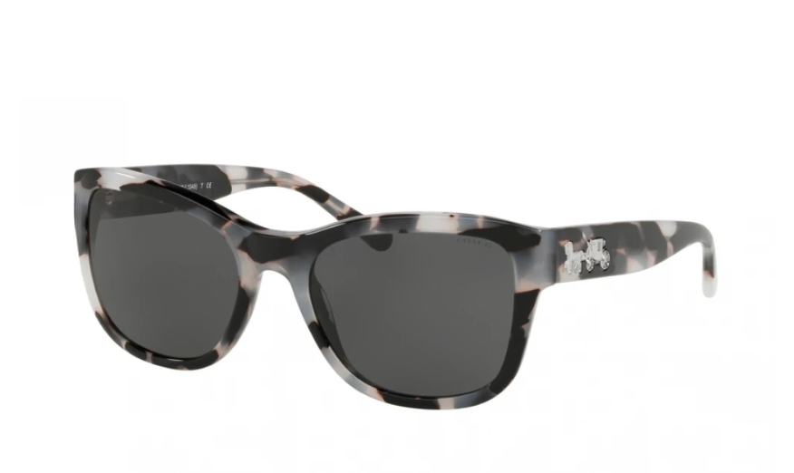 Coach 0HC8243 Sunglasses